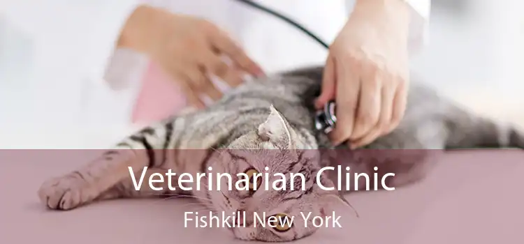 Veterinarian Clinic Fishkill New York