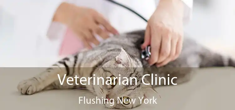 Veterinarian Clinic Flushing New York