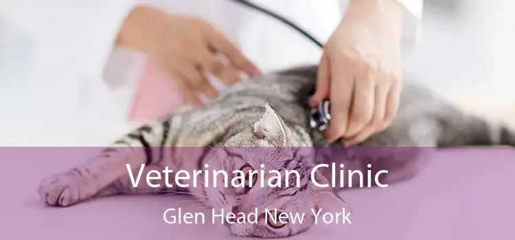 Veterinarian Clinic Glen Head New York