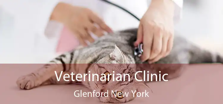 Veterinarian Clinic Glenford New York