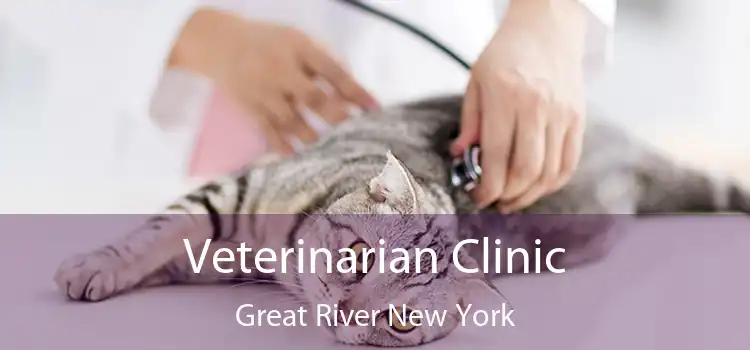 Veterinarian Clinic Great River New York