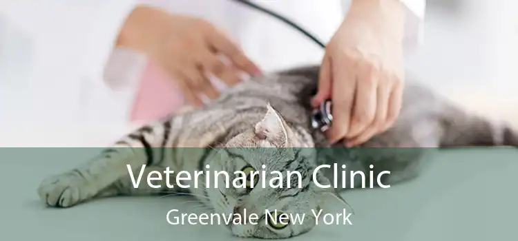 Veterinarian Clinic Greenvale New York