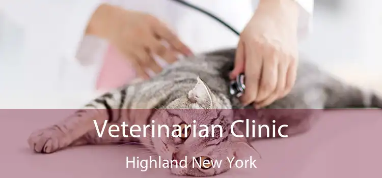 Veterinarian Clinic Highland New York