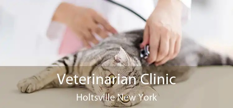 Veterinarian Clinic Holtsville New York