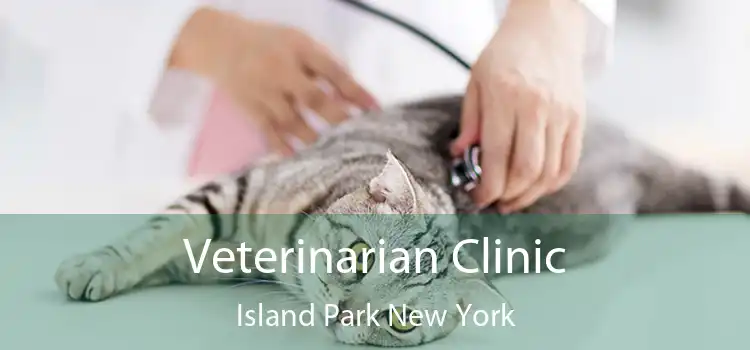 Veterinarian Clinic Island Park New York