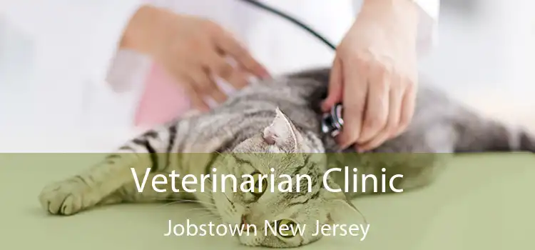 Veterinarian Clinic Jobstown New Jersey