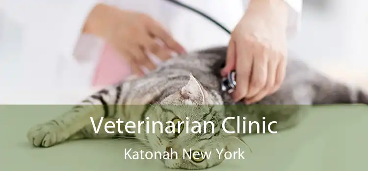 Veterinarian Clinic Katonah New York