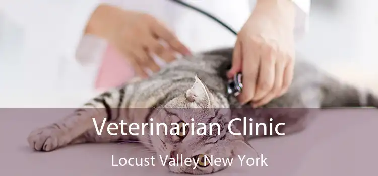 Veterinarian Clinic Locust Valley New York