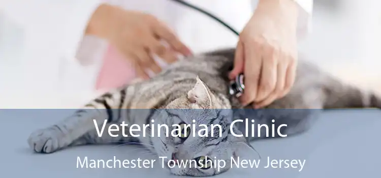 Veterinarian Clinic Manchester Township New Jersey