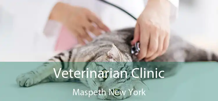 Veterinarian Clinic Maspeth New York