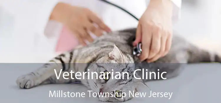 Veterinarian Clinic Millstone Township New Jersey