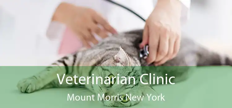 Veterinarian Clinic Mount Morris New York