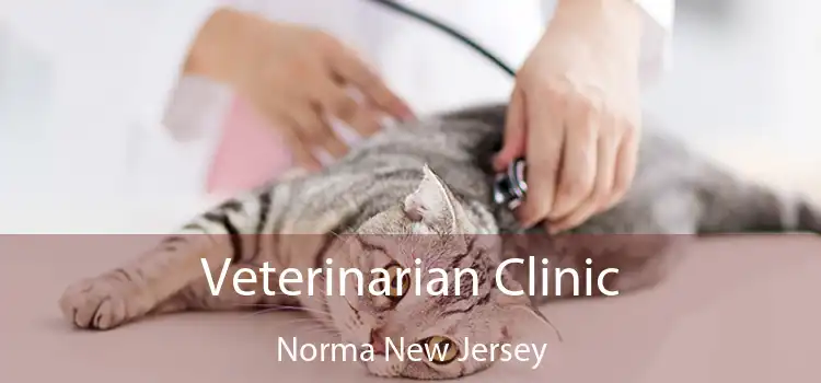 Veterinarian Clinic Norma New Jersey