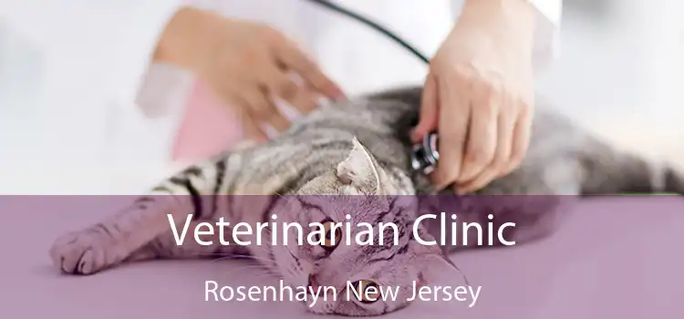 Veterinarian Clinic Rosenhayn New Jersey