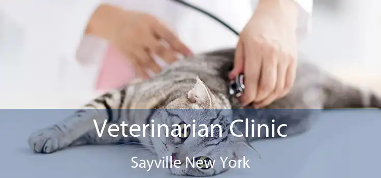 Veterinarian Clinic Sayville New York