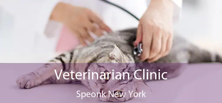 Veterinarian Clinic Speonk New York