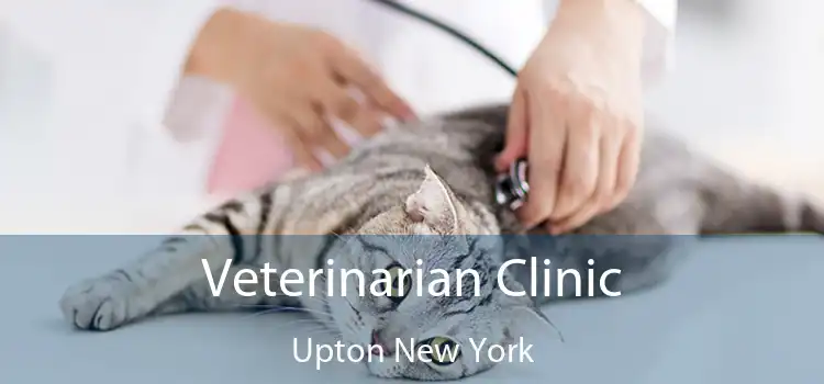 Veterinarian Clinic Upton New York