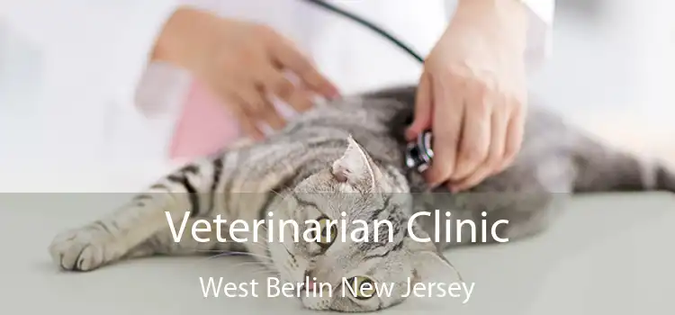 Veterinarian Clinic West Berlin New Jersey