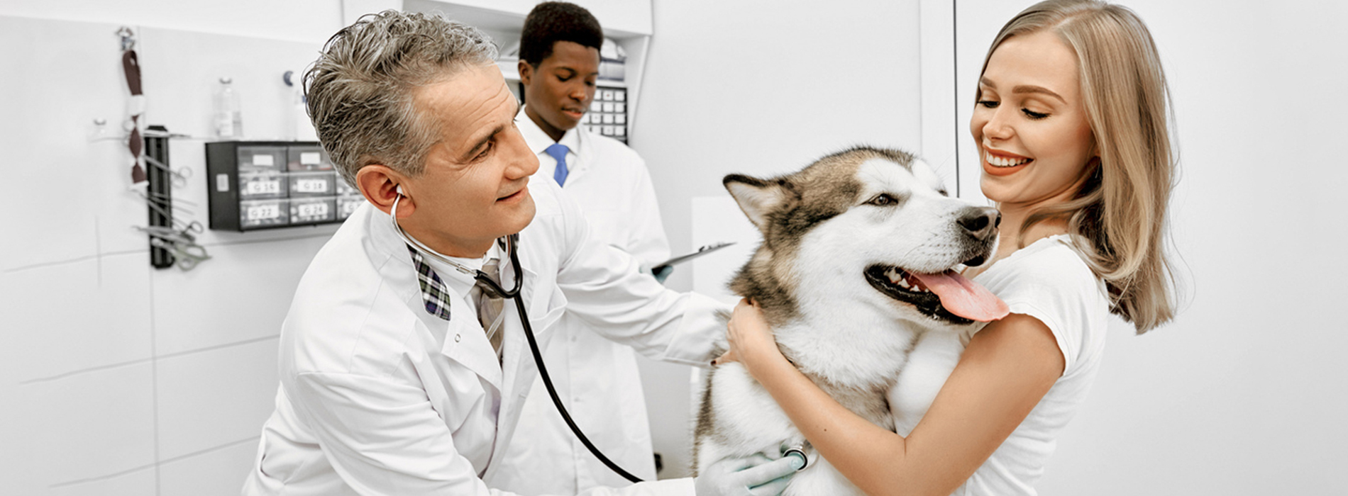 center moriches veterinary hospital reviews